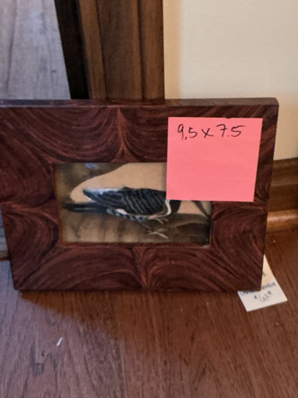 Pileated woodpecker theorem by Carole Behrer
