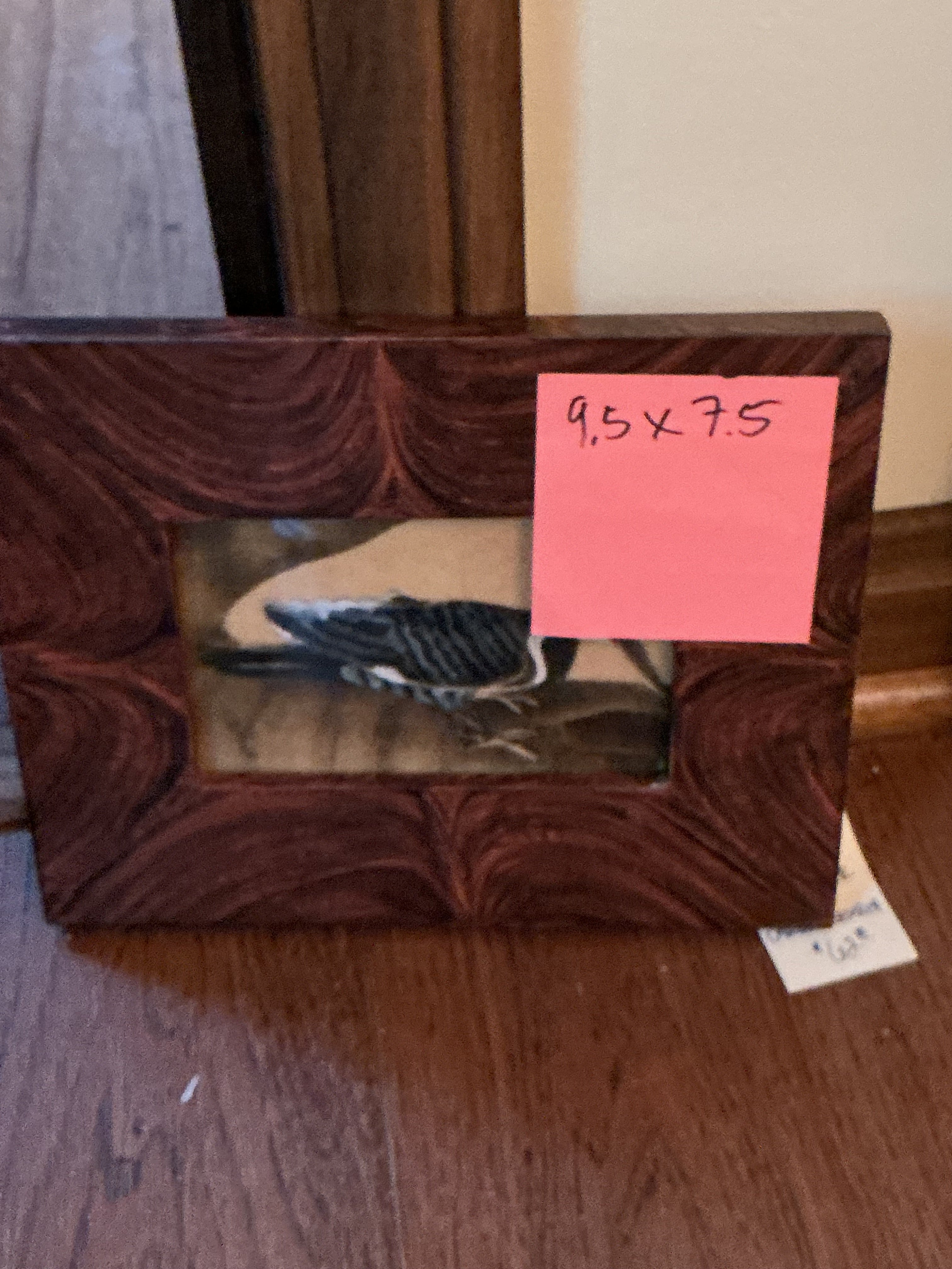 Pileated woodpecker theorem by Carole Behrer