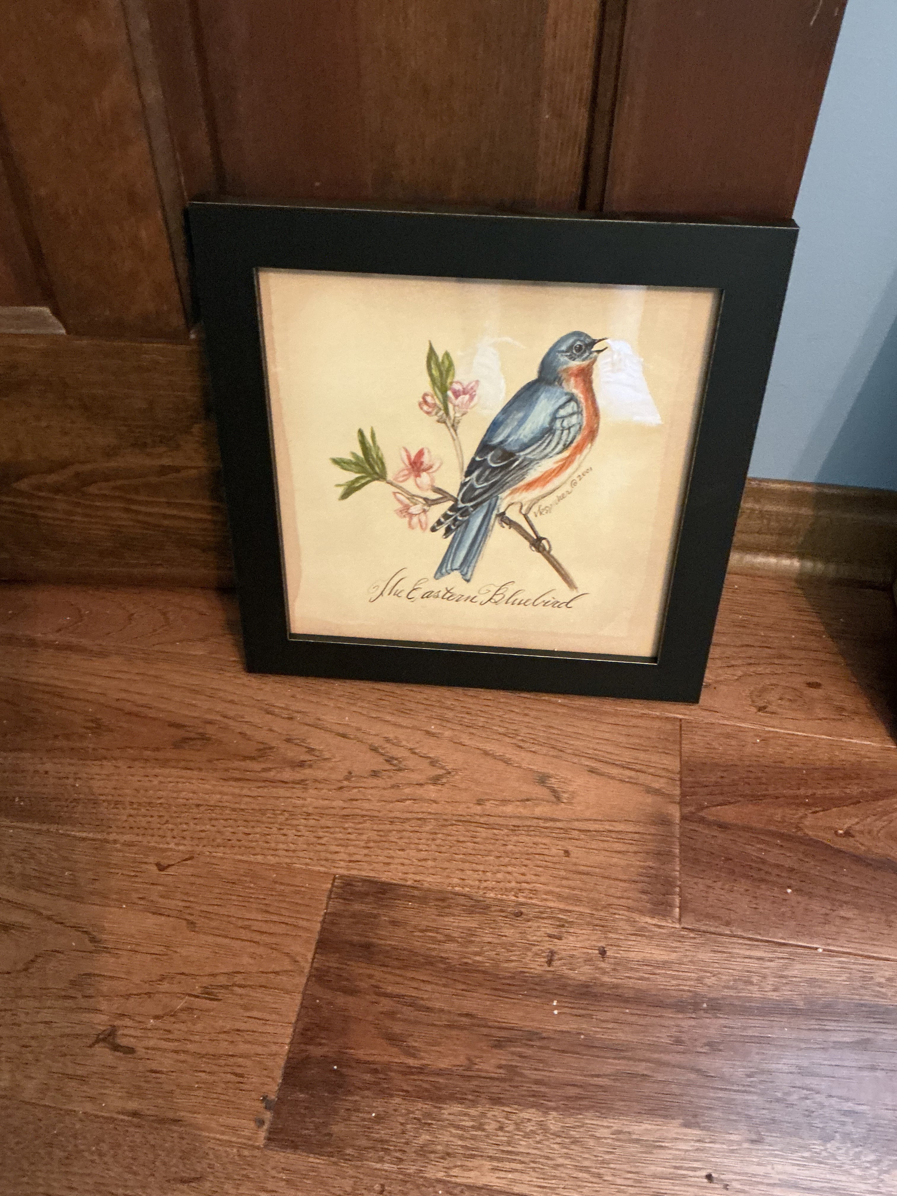 Bird picture by Kolene Spicher