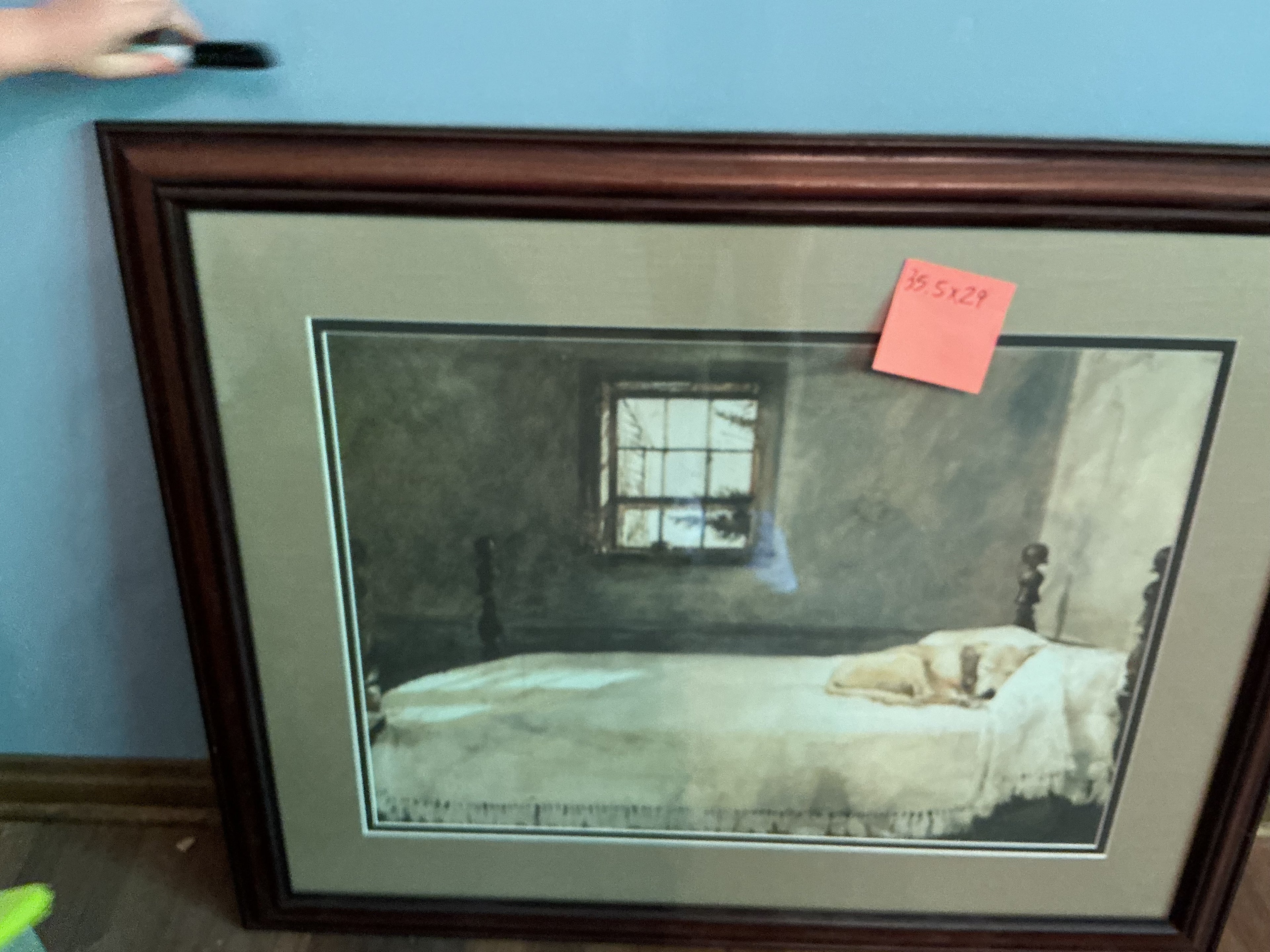 Picture of sleeping dog
