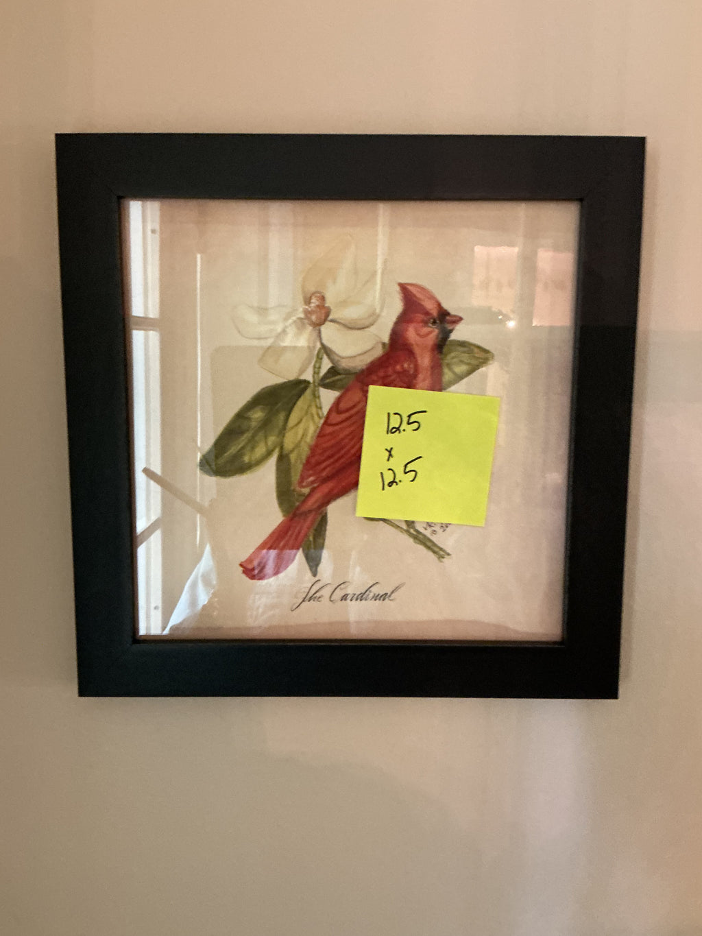 Cardinal print by Kolene Spicher