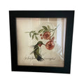 Hummingbird print by Kolene Spicher