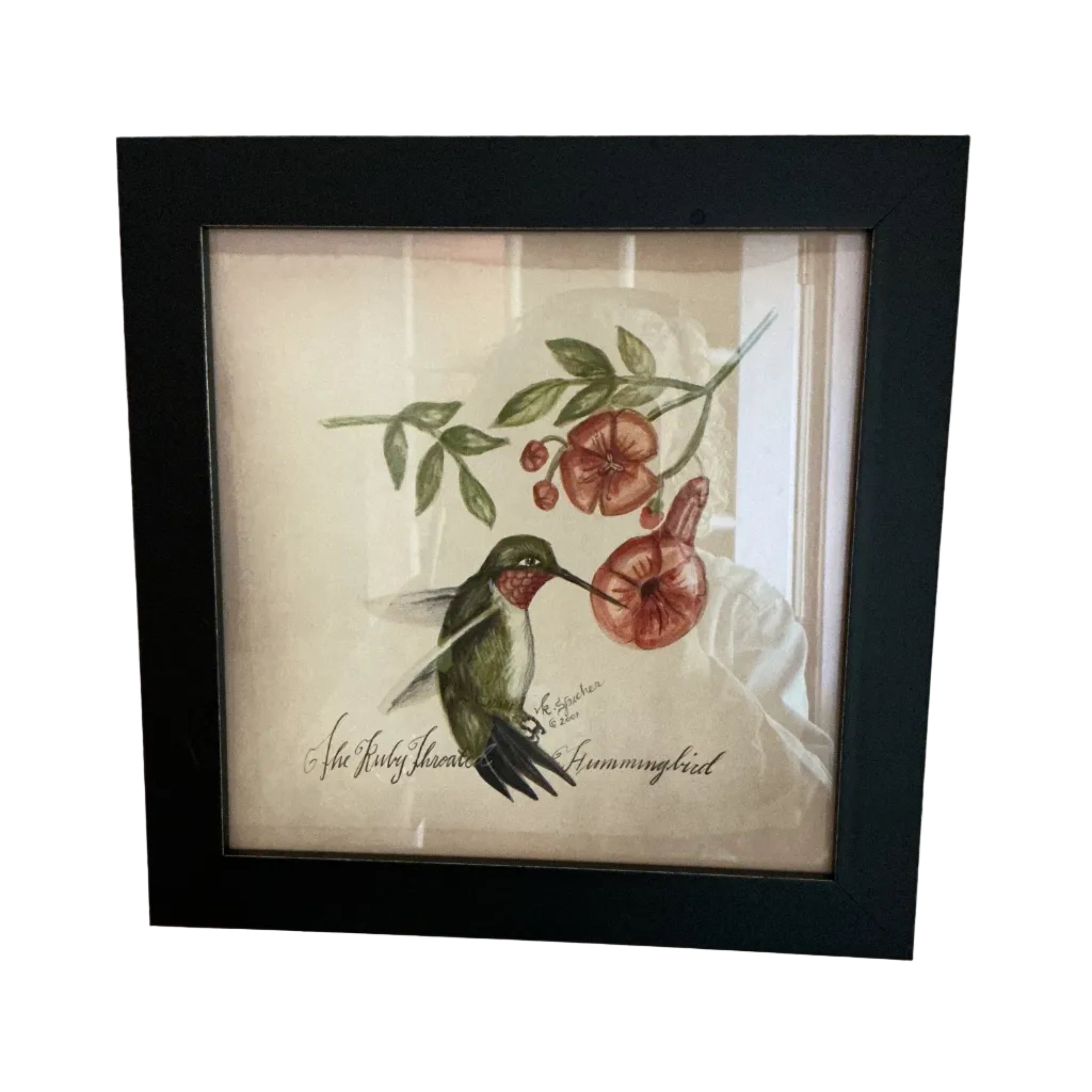 Hummingbird print by Kolene Spicher