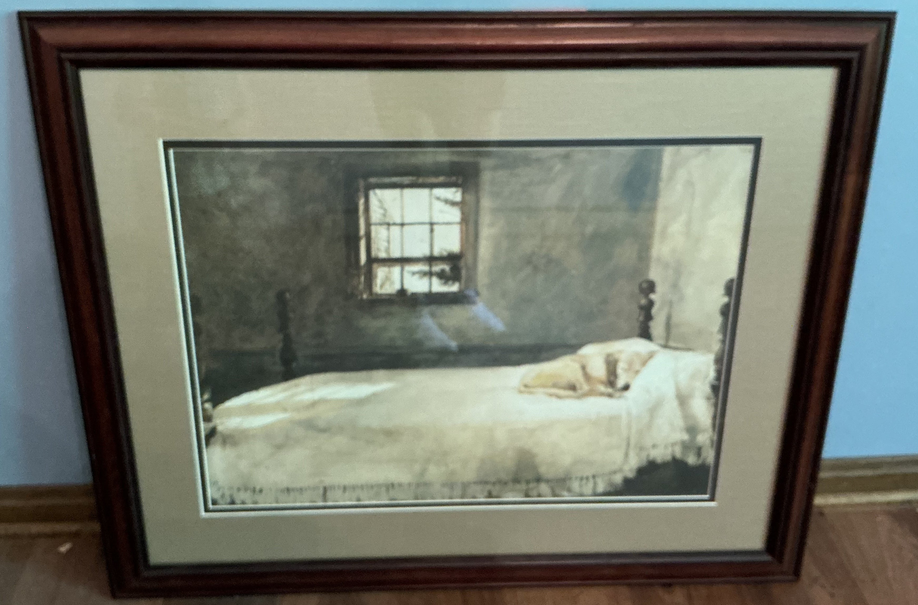 Picture of sleeping dog