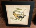 Bird print by Kolene Spicher